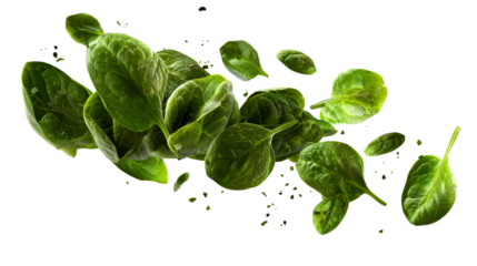 Fresh Spinach Leaves Falling Through Air Isolated