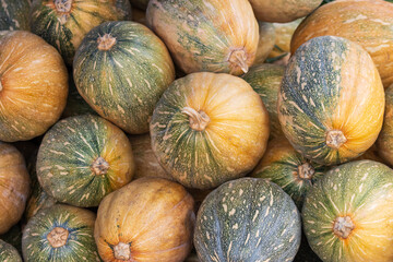 A pile of squash with green stems