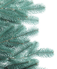 Branch of artificial fir tree isolated on white. Christmas decor