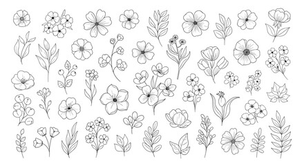 Elegant collection of hand-drawn floral and botanical elements in black outline, perfect for creating decorative patterns and designs.