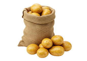 Isolated burlap sack filled with yellow potatoes, some spuds lying in front of the sack