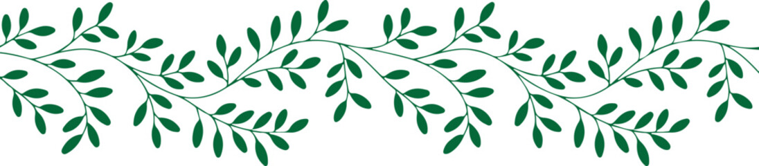 Delicate green vine with leaves illustration on white background