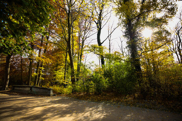 bridge in the english garden, munich, bavaria