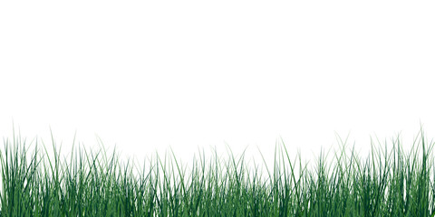 Green grass border isolated on transparent background. Realistic lawn texture with natural blades, summer grass edge, and fresh nature element. Vector illustration.PNG