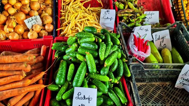 A stand with many different vegetables such as carrots, onions, beans, gherkins and courgettes.