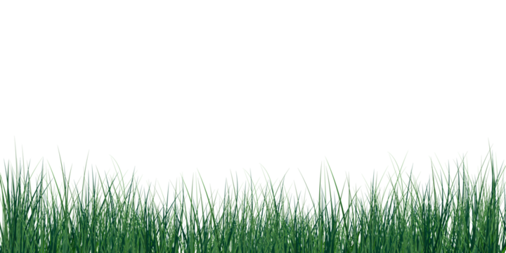 Green grass border isolated on transparent background. Realistic lawn texture with natural blades, summer grass edge, and fresh nature element. Vector illustration.PNG