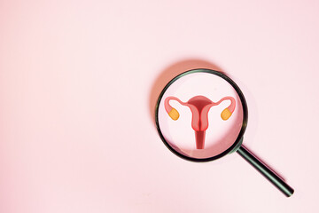 Women's health awareness concept.,Magnifier over a female uterus, representing a gynaecological exam,prevention of uterine cancer, diagnosis of endometriosis,PCOS on a pink background with copyspace.