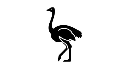 Obraz premium Ostrich silhouette isolated on white background