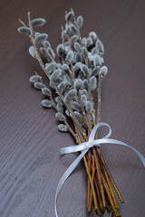 Willow twigs isolated on white. without shadow.