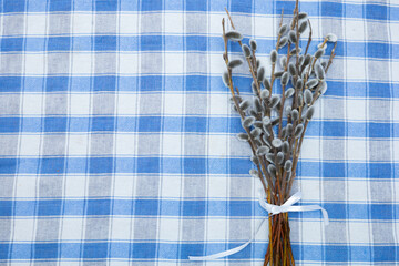 Willow branches, spring buds of a tree in bloom on a summer's eve