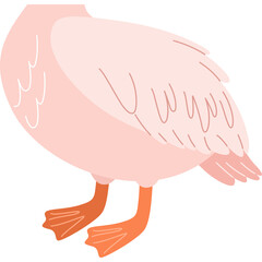 Close-up of a Pink Duckling's Lower Body with Orange Webbed Feet and Fluffy Feathers Against a Transparent Background