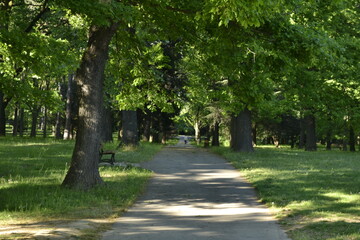 Parc des Essarts, Bron