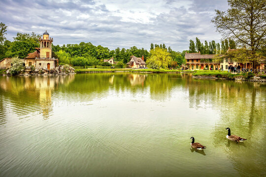View of calm waters reflecting the buildings and lush greenery under a cloudy sky, with two geese swimming peacefully, Versailles, ÃŽle-de-France, France. - Powered by Adobe
