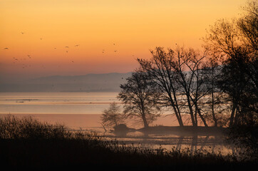 jesienny poranek, starorzecze rzeki Wisły. Wisła Mała. Polska © mycatherina