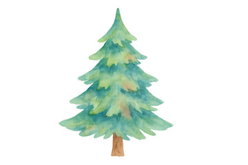 Fototapeta premium Watercolor pine tree painting for seasonal designs. Festive evergreen drawing with transparent background for christmas and holiday themes