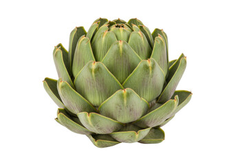 Isolated artichoke vegetable food, a healthy and delicious ingredient to add in the meal