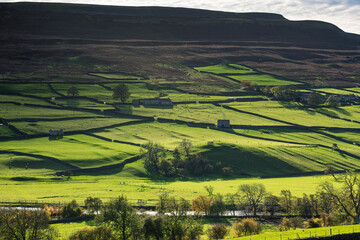 Drystone Walls Light
