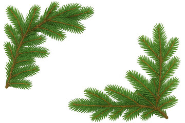 Obraz premium Fir tree branches framing background, green spruce pine needles creating christmas holiday winter frame border