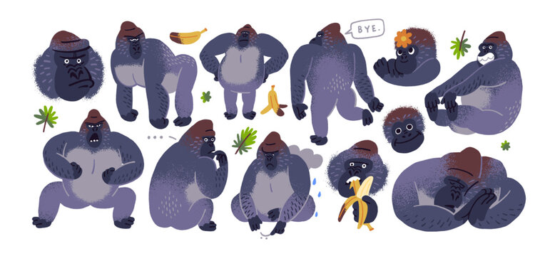Gorilla with different emotions, expressions set. Sticker pack of happy, sad and angry big monkey. Cute animal eats banana, beats chest, sleeps. Flat isolated vector illustration on white background