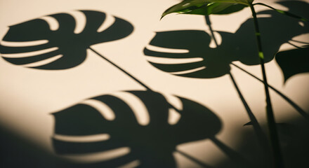 Nature Overlay Effect: Palm and Monstera Silhouettes
