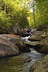 The tranquil scene showcases the beauty of nature, with water flowing over rocks and surrounded by trees, along the Boone Fork Trail near Blowing Rock.