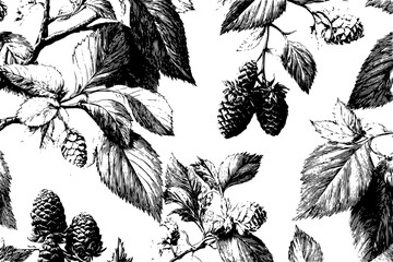 Wilderness Whispers: Alder Mullein's Symphony Black White | Clean, isolated vector art for creative projects.