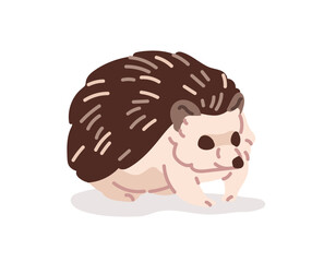 Cute hedgehog is walking. Prickly baby animal of forest is strolling. Happy wild rodent with needles, little porcupine. Woodland wildlife. Flat isolated vector illustration on white background