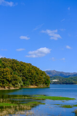 Fototapeta premium Vertical Clear Blue Sky and Reservoir with Forest in South Korea