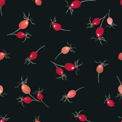 Red-orange dog rose hips isolated on dark background. Seamless vector pattern