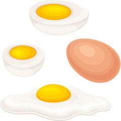 Collection of Cooked Eggs Including Whole Fried Egg Half Boiled Egg and Raw Egg Isolated on Transparent Background