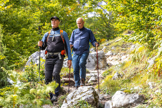 Two men hiking along a rocky forest trail on a sunny day, wearing outdoor clothing and using trekking poles. They walk through a green landscape surrounded by trees and rocks.