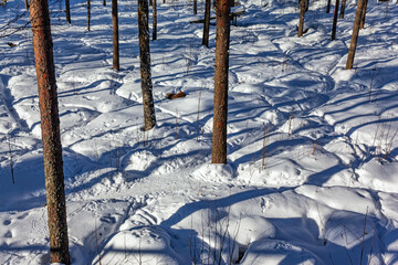 Deep snowdrifts