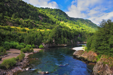 The creek flows through  forest