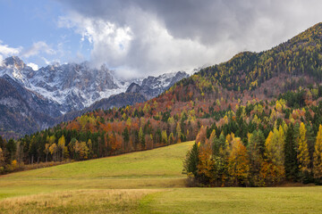 vibrant alpine valley in autumn with forested hills and mountain range view. autumn landscape. fall colors, autumn forest. fall backdrop