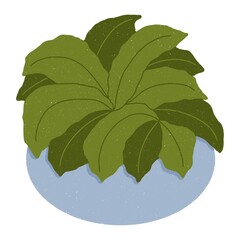 Isolate blue houseplant and green leaves digital sticker on white background.