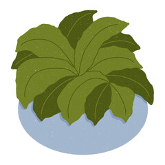 Isolate blue houseplant and green leaves digital sticker on transparent background.
