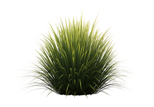 Lush green grass clump with bright tips plant blades