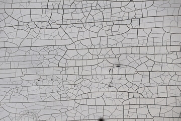 Cracked white paint peeling off of rustic wooden.