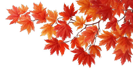 Vibrant autumn leaves in shades of red, orange, and yellow against a black background, showcasing nature's beauty and seasonal change.