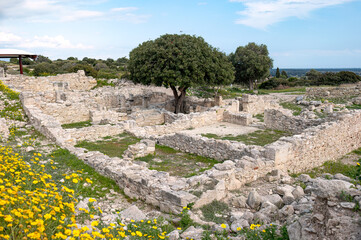Lone tree standing amidst ruins of Roman house in Kourion archaeological site. Limassol District,...