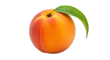 Close-up of a fresh, ripe peach with a vibrant orange color and a single green leaf, isolated on a plain background.