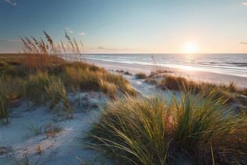 Golden Sunset Illuminating Sandy Beach And Vegetation With Gentle Ocean Waves