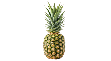 A fresh, whole pineapple stands upright, showcasing its textured surface and vibrant green crown against a transparent background.