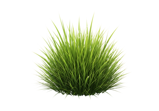 Lush green grass clump blades fresh