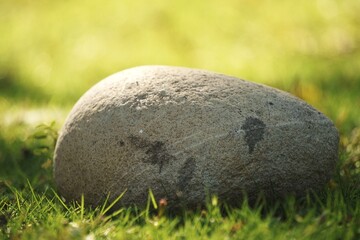 A single smooth grey rock rests peacefully in a sunlit green meadow.
