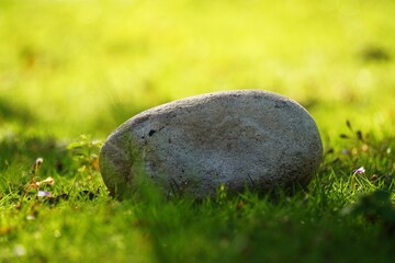 A solitary stone rests peacefully on a vibrant green grassy field bathed in warm sunlight.