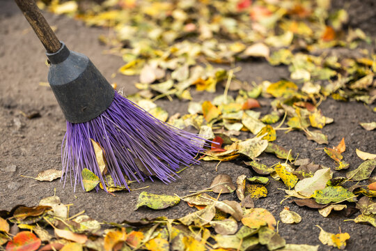 Pile of fall leaves with fan rake on lawn