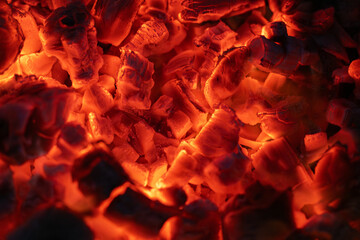 Details of charcoal for barbecue at picnic