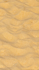 yellow sea sand with visible details. background or texture