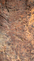 macro photo of an orange brick with visible texture. background